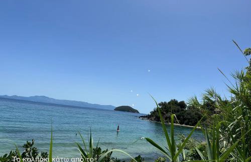 Olivia -Ελιά - Foto 34