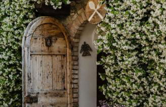 Fattoria San Donato - Foto 6