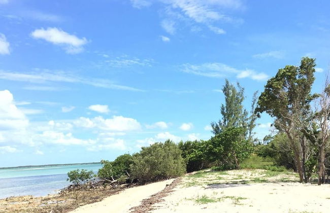 Mangrove Cay Sea View Villas - Foto 27