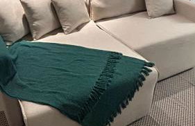 ER1208 - Apartamento aconchegante em São Luís - Photo 11