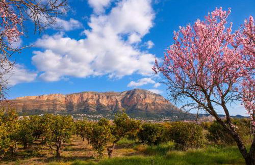 Casa Isabela - Foto 52