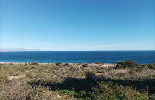 Gran Vista - Photo 25