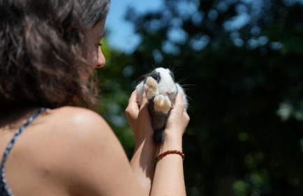 Agriturismo Ai Dossi - Foto 69