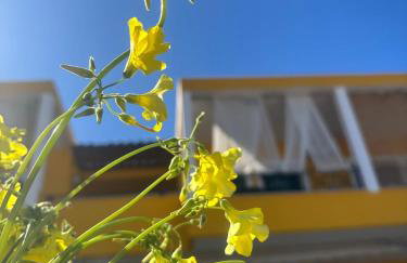 The bee's house 2 - Foto 10