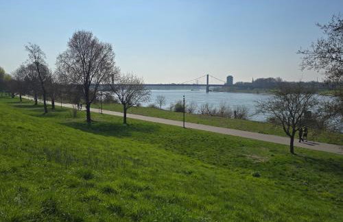 Rhein Living Apartment - Balkon und Rheinpromenade - Photo 16