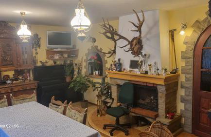 Pod Smerekiem - Photo 33