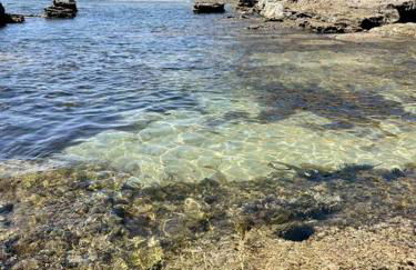 House in the historic area of Lourinhã - Foto 43