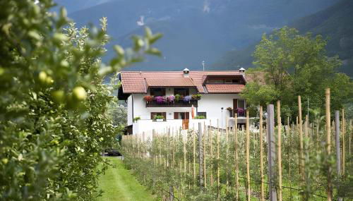 Bauernhof Sackgut - Foto 3