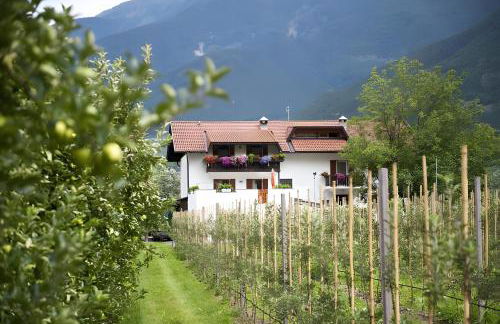 Bauernhof Sackgut - Foto 3