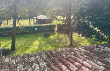 Il Vecchio Mulino - Foto 4