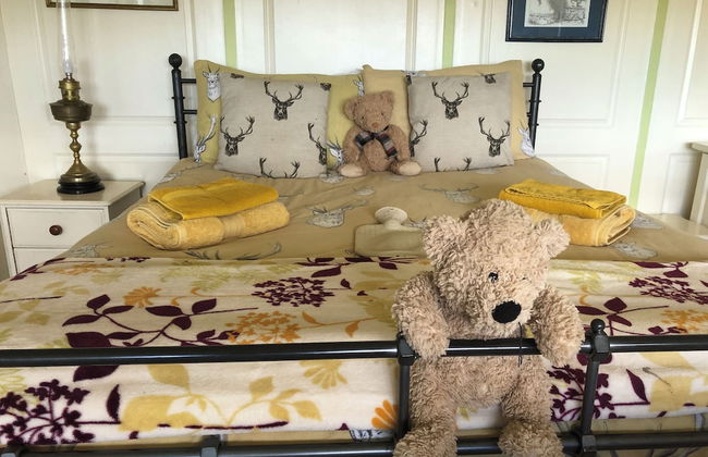 Monument Field South Brent - Foto 21