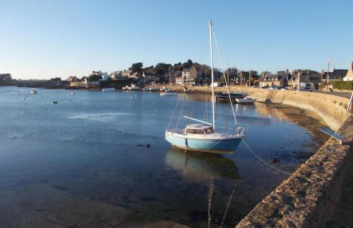 Les hortensias - Foto 40