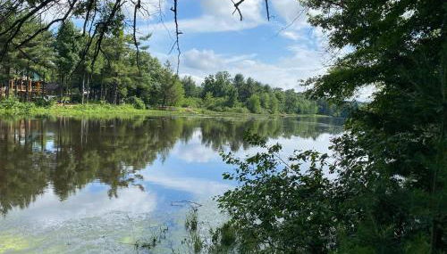 New Listing 2BR/2BA on Trout Lake HotTub & Firepit - Foto 3, Garden