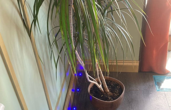 Mourne Mountain Art Apartments - Foto 52