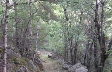 Ca l'Escolà - Foto 24