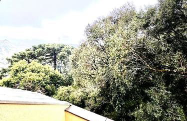 Gramado Ap Cobertura - Foto 6