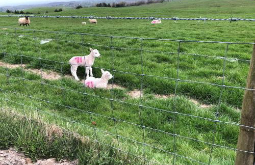 Romantic Cottage with Wood-fired Hot tub and Outdoor Pizza Oven - Foto 44