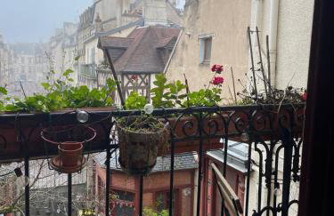 Appartement bucolique - Cœur historique Dijon - Foto 10