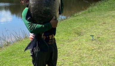 Casa no Haras - Foto 5