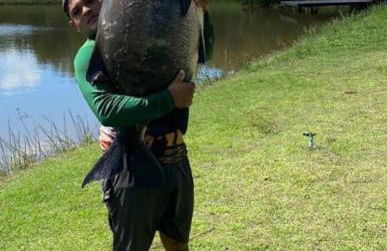 Casa no Haras - Foto 5