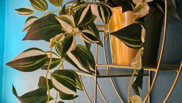 Casa Lingotto Fiere Metro - Photo 5