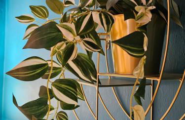 Casa Lingotto Fiere Metro - Foto 5