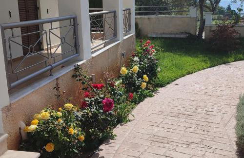 Guesthouse Michobeis - Foto 49