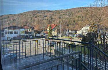 Apartament w Beskidach Niezapominajka przy stoku - Foto 22