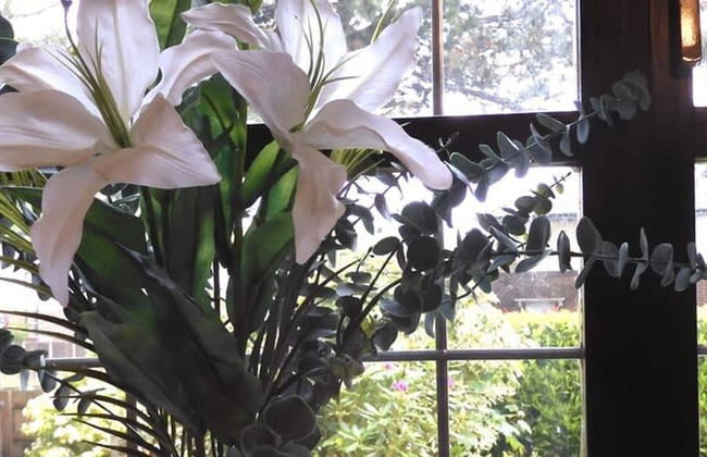 Lion House Chester - Very Near Zoo Ideal for Families - Photo 21