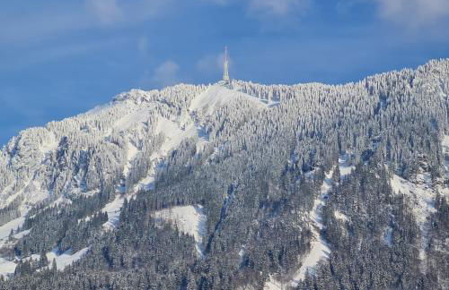 Gruentenausblick - Foto 23