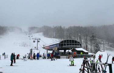 Stylish Forest Lodge with Large Hot Tub, Firepit and Fireplace minutes to Gore Mountain - Foto 6