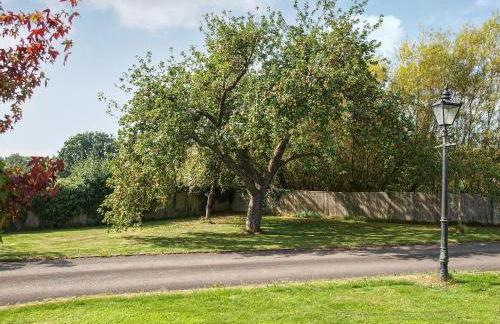 Orchard View - Foto 19