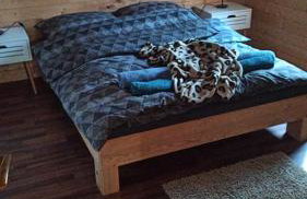 WOODEN HOUSE near the River Kupa - Foto 24