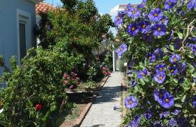 Armonia Houses - Photo 10