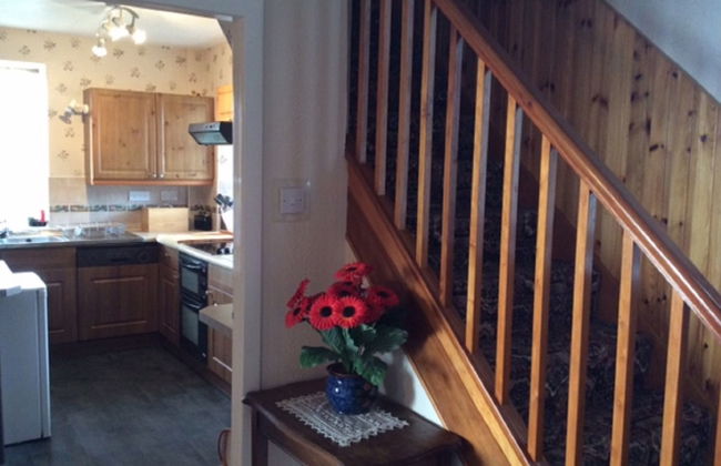 Wester Riechip - Foto 11