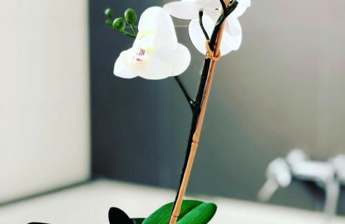 Fewo-Exklusiv "Seeblick" - Foto 12