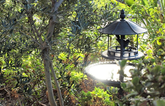 Capon Cottage - Foto 19