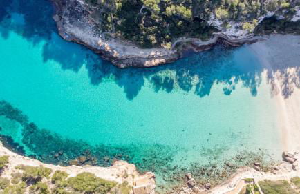 Can Yuca II - Foto 40