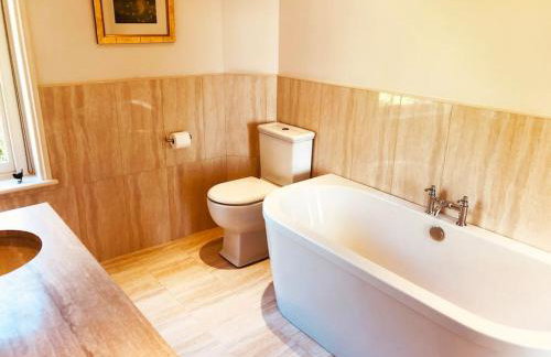 Somerleyton Meadows - Somerley House plus Hut & Hot Tub - Foto 65