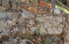 Borgo Ingurtosu - Photo 50