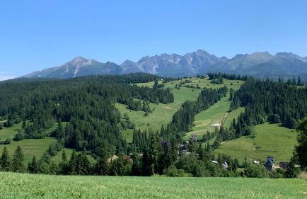 Apartamenty pod Góralskim Niebem - Photo 52