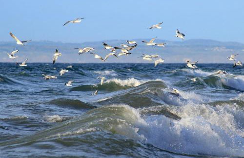 Zum Seglerhafen – Ferienappartement - Foto 12