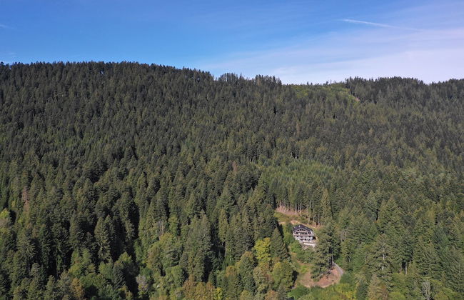 Schweizerhaus Alpirsbach - Foto 59