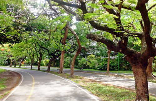 Flat Gildo Vilaça - Foto 36