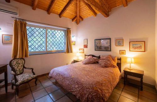 Etna Botanic Garden - Foto 77