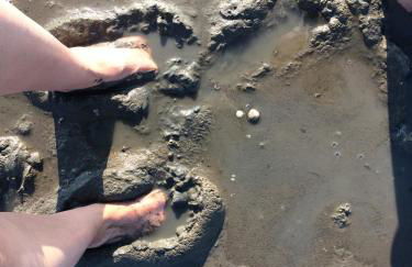 Urlaub beim Käptn! Freistehendes Premium Nordsee-Ferienhaus mit Fahrrädern, Stellplatz und Garten, 150m zur Nordsee - Foto 32