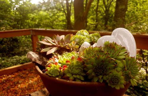 Ferienwohnung Lug - Foto 25