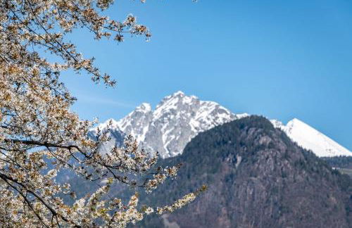 Georgenhöhe - Photo 68