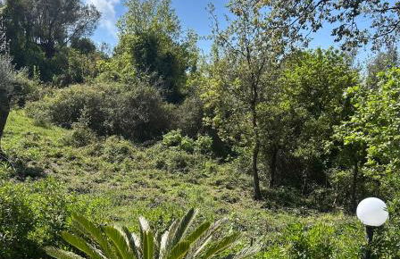 Villa Grazia - Foto 40