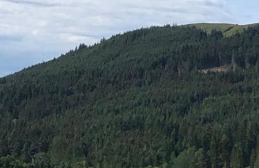 40 Glenfinart Caravan Park - Foto 23